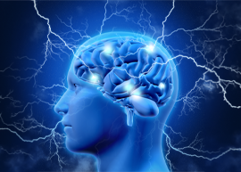 Brain & Nerves